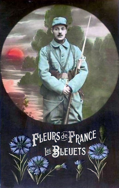 Le Bleuet de France, fleur française de la Mémoire – Cyrano